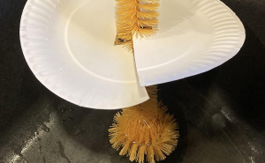 The Bacteria Party Is Happening In These 24 Forgotten Places In Your Home