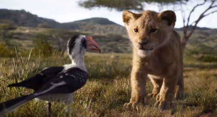 Lion cub and bird in a savanna setting, showcasing explain-adult-moments theme in wildlife interaction.