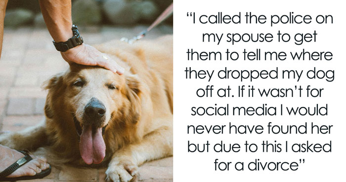 Person Feels Marriage Crumbling To Pieces After Spouse Abandons Their Dog, Seeks Advice Online