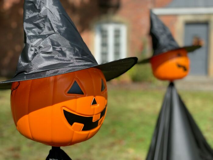 Halloween pumpkin decorations with witch hats, displayed outdoors in a sunny garden setting.