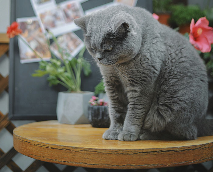 30 Casual Confessions That Should’ve Come With A Warning Label