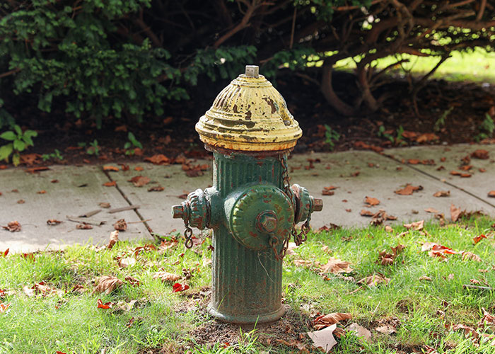A green and yellow fire hydrant surrounded by grass and fallen leaves, illustrating a common mistake people make.