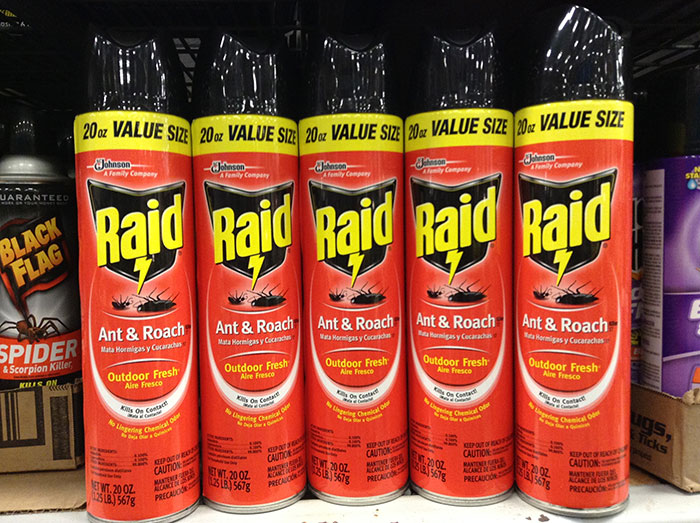 Five cans of Raid Ant & Roach spray on a store shelf, labeled 20 oz value size.