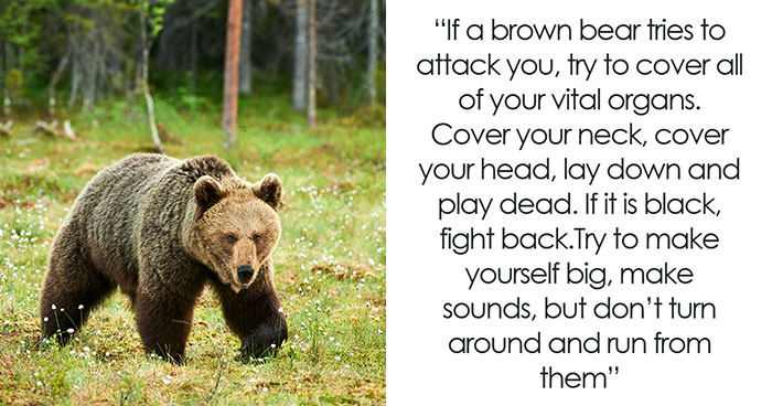 44 Facts That Might Actually Save Your Life One Day