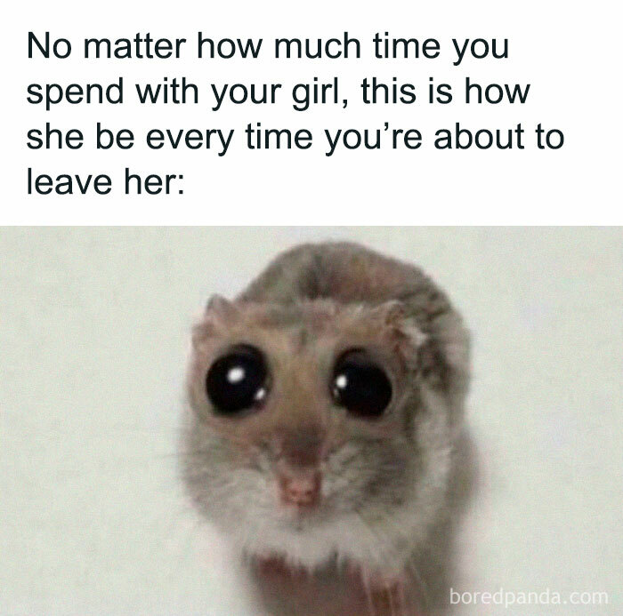 Cute mouse with big eyes capturing love memes sentiment.