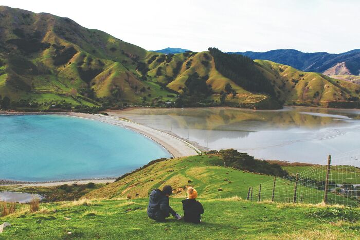 People sitting on a hillside overlooking a scenic bay on an island.
