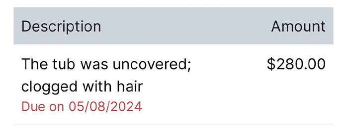 Invoice showing a $280 charge for a tub clogged with hair, due on 05/08/2024; related to landlords.