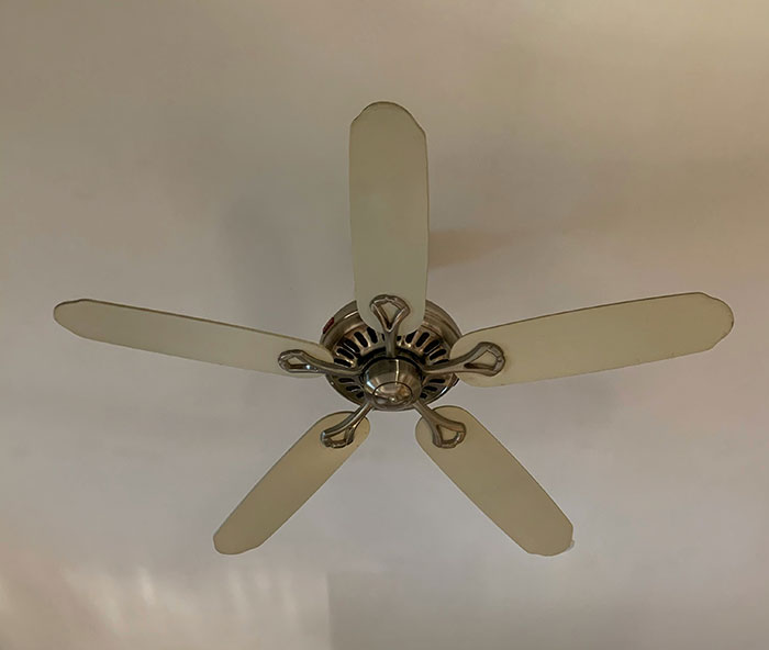 Ceiling fan with dust on blades, a reminder of things to clean before hosting guests.