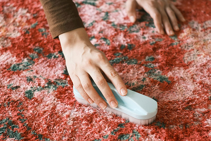 Cleaning a red patterned carpet with a brush before hosting guests.