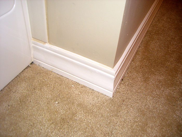 Corner baseboard and carpet, an area people often forget to clean before hosting guests.