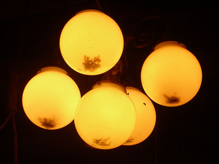 Guests Share What Dirty Spots In A Home They Notice The Most And Point Out These 41