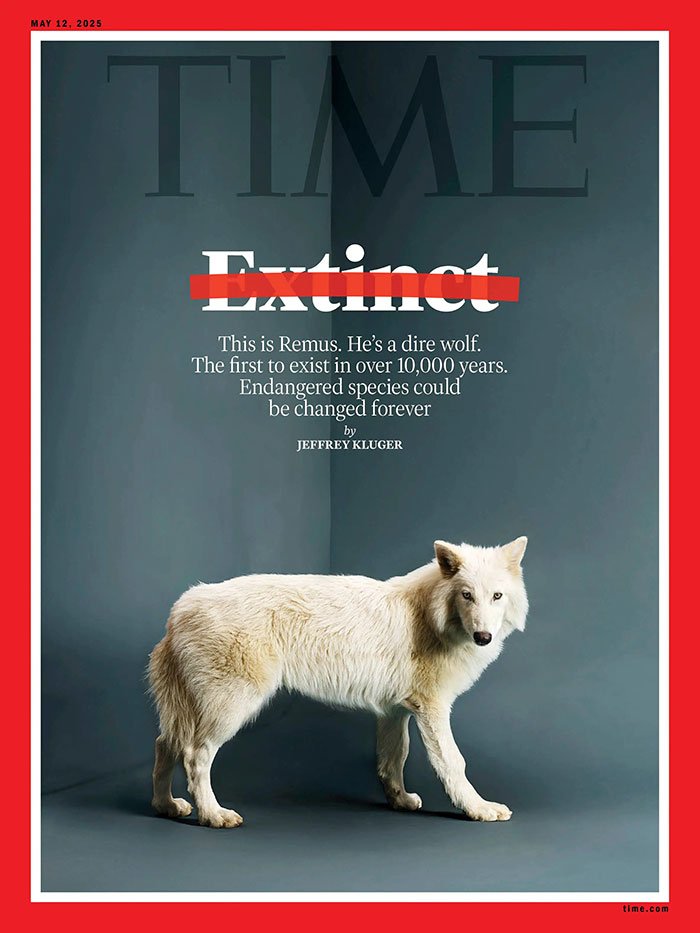 Dire wolf featured on magazine cover, sparking ethical debate about species resurrection.