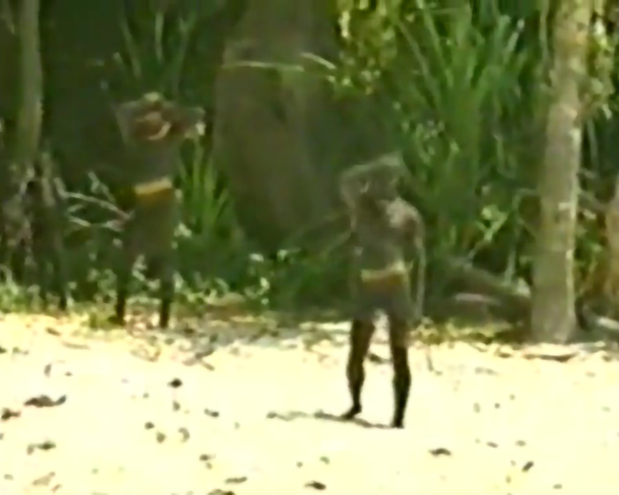 Two isolated tribe members on a sandy beach, surrounded by dense vegetation.