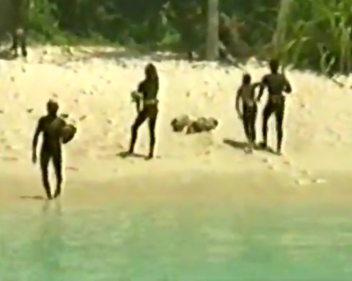 People on a remote beach, associated with a controversial YouTube stunt.