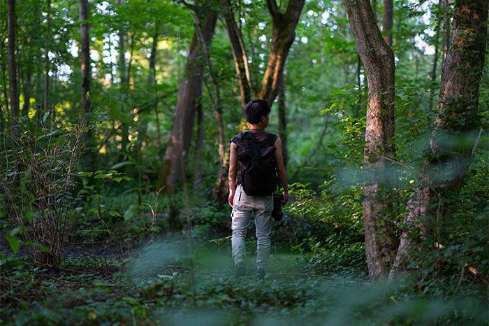 Person hiking in a forest, wearing a backpack, illustrating life-saving awareness in the outdoors.
