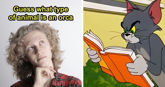 See If You Have What It Takes To Be A Real Trivia Champion: Get Over 20/25