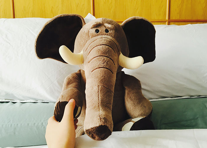 Hand holding a stuffed elephant toy in bed, illustrating a quirky marriage hack for comfort and connection.