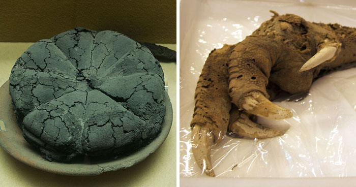 27 Artifacts That Might Make You Like History Even More If You Weren’t Interested Already (New Pics)