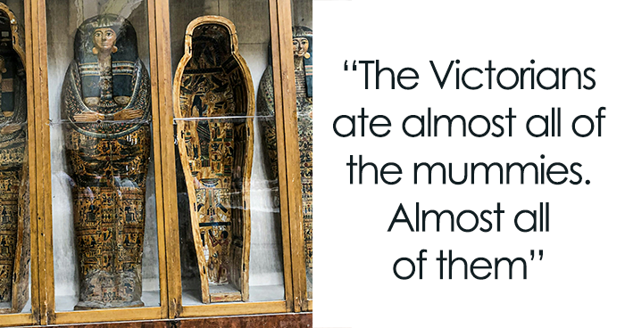 50 Weird And Unsettling Facts People Didn’t Ask For, But This Influencer Shared Anyway