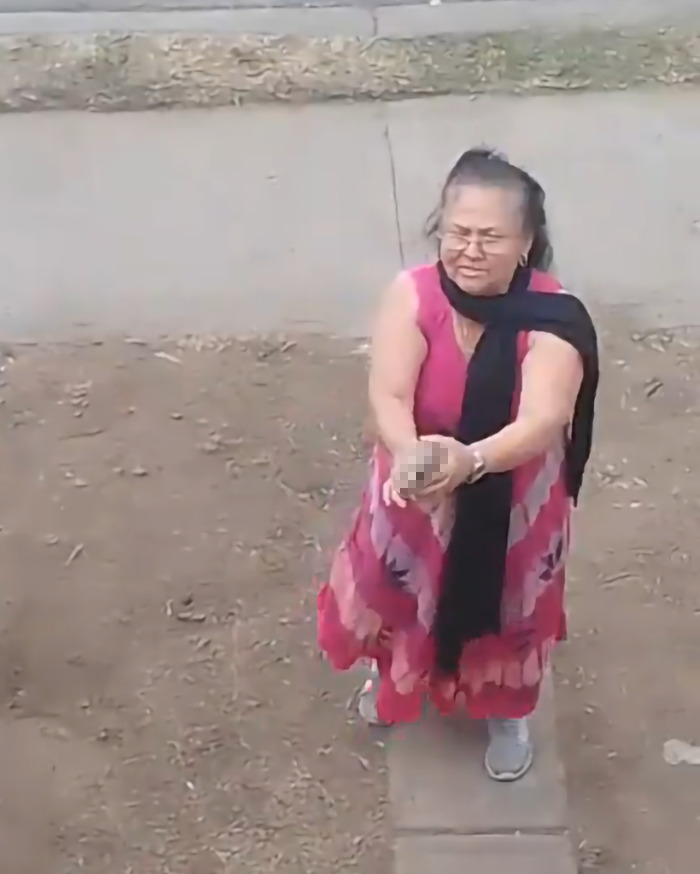 Elderly woman in a colorful dress, standing outside, holding an object, embodying a vigilant demeanor in a suburban setting. Elderly woman in a colorful dress, standing outside, holding an object, embodying a vigilant demeanor in a suburban setting.