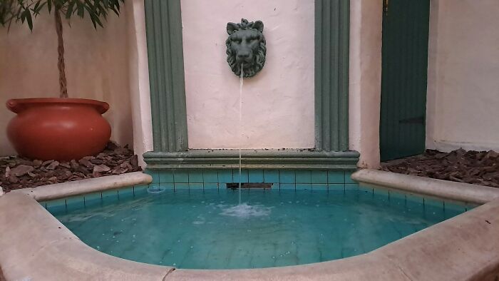 Lion-head water fountain in a courtyard, with a green and white backdrop, in someone's house.