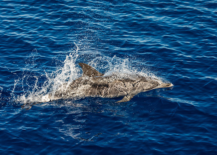 50 Of The Wildest “We Need To Leave Right Now” Experiences