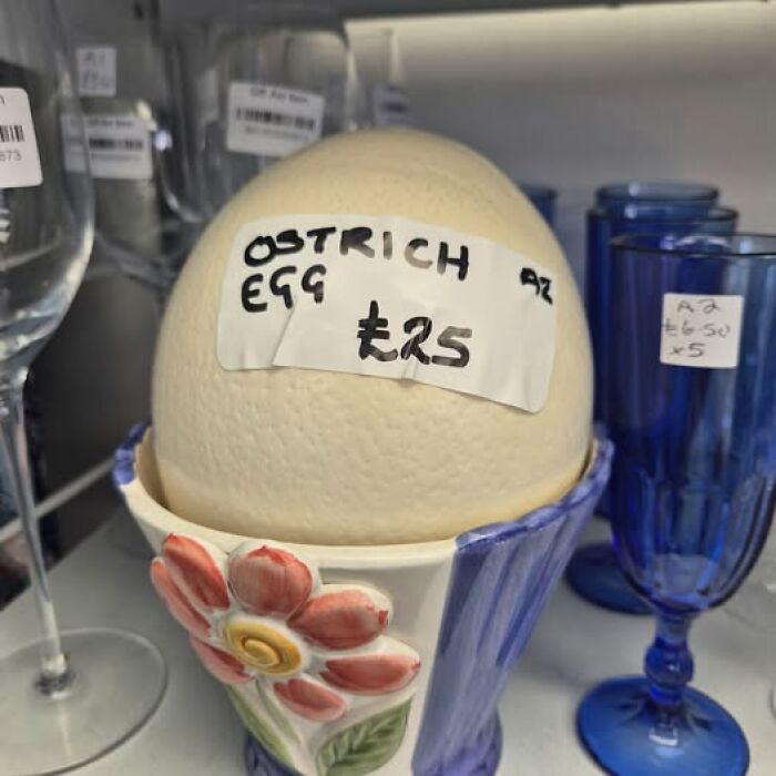 Ostrich egg priced at £25 in a colorful floral holder, found in a secondhand shop.