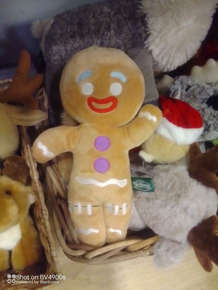 Plush gingerbread man with colorful buttons, found in a secondhand shop basket.