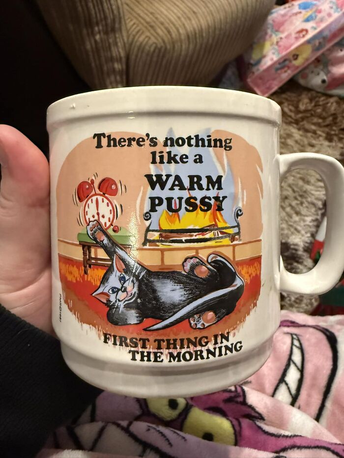Quirky secondhand mug with playful cat illustration and humorous text about mornings.