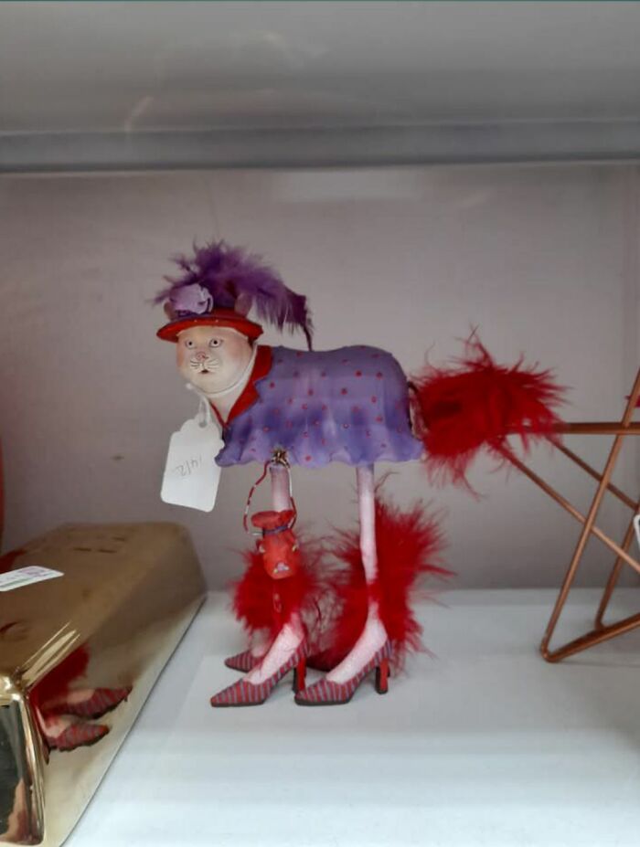 Bizarre treasure from secondhand shop: a quirky creature with a human face and feathery legs, wearing a purple outfit.