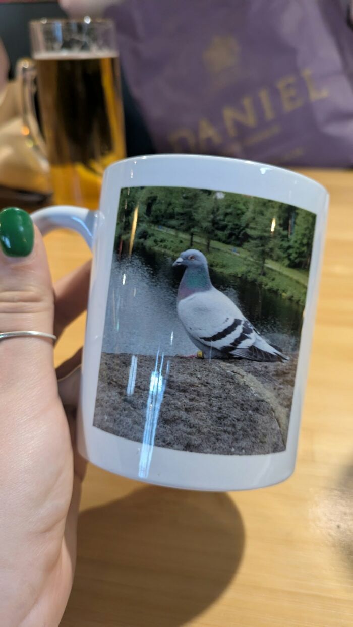 Mug with pigeon photo, found treasure from secondhand shop, held by hand with green nail polish.