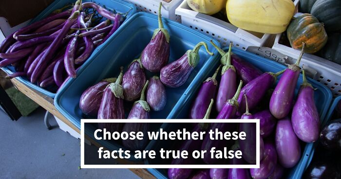 “Truth Or Trash?”: 20 Weird Facts That Sound Nonsensical But Some Of Them Are Actually True
