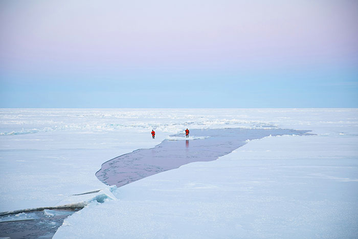 Two people walk on a vast, icy landscape under a pastel sky, illustrating fascinating science facts.