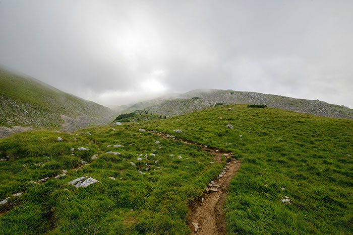 30 Scary And Unsettling Things People Wish Were Lies But Are Actually Scientific Facts