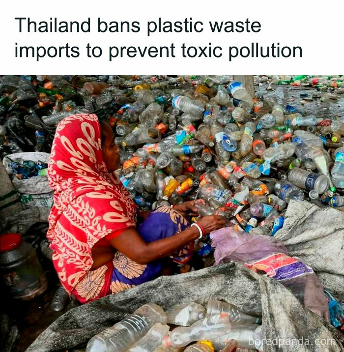 Woman sorting plastic bottles amid Thailand's positive initiative to ban waste imports to reduce pollution.