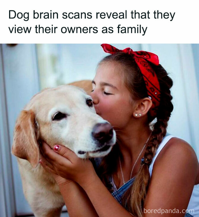 Girl kissing her dog on the head, showing a positive moment of love and companionship.