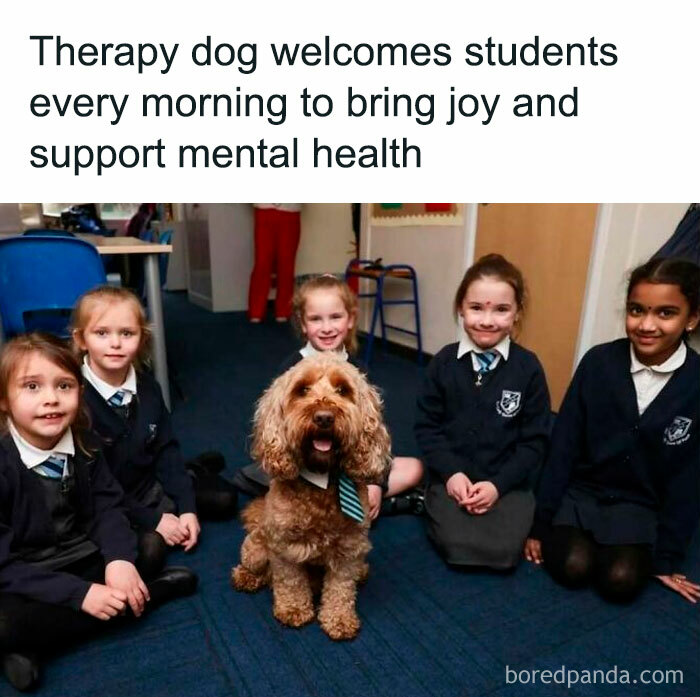 Therapy dog with children in school, spreading positivity and joy.