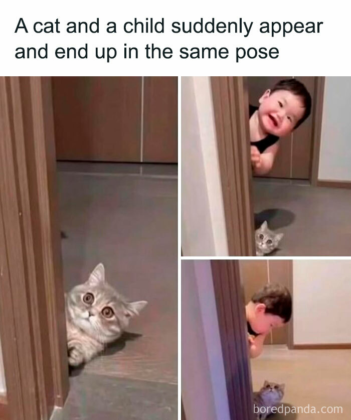 A child and a cat peeking from behind a doorway in the same pose in a wholesome memes photo.