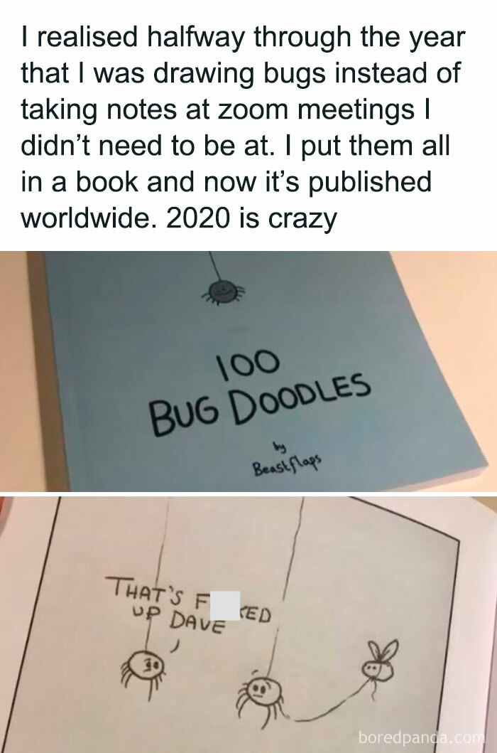 A book titled 100 Bug Doodles with a humorous drawing of bugs hanging from strings, a wholesome meme to share.