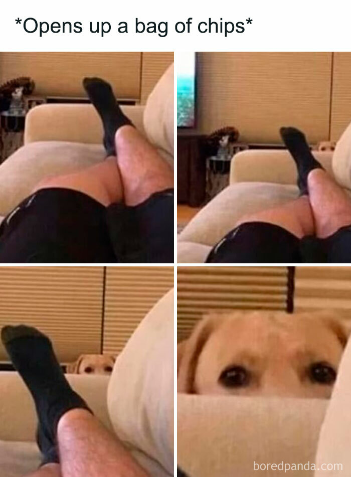 Wholesome-Memes-Posts