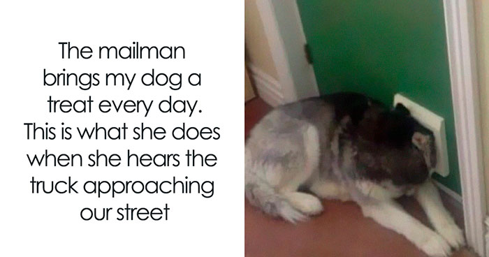 This FB Page Is Spreading Only Good Vibes And Here Are 50 Of Their Wholesome Memes