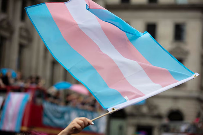 A hand waving a transgender pride flag at an outdoor event.