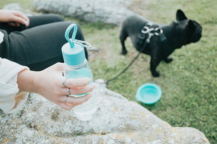 Person holding a water bottle, sitting on a rock with a black dog on a leash nearby.