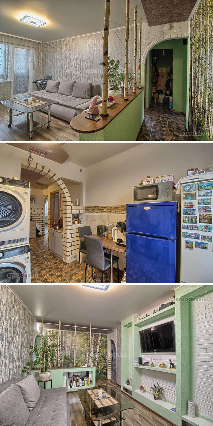 Living area and kitchen of a unique real estate property featuring birch tree décor and a mix of modern and rustic design elements.