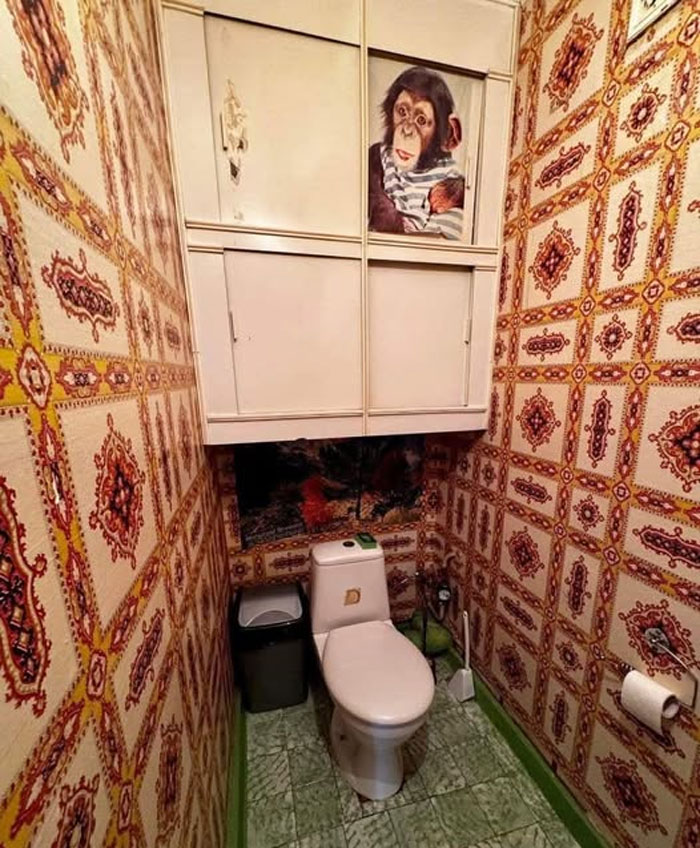 Small bathroom with patterned wallpaper and cabinets featuring a monkey image in a wild real estate property for sale.