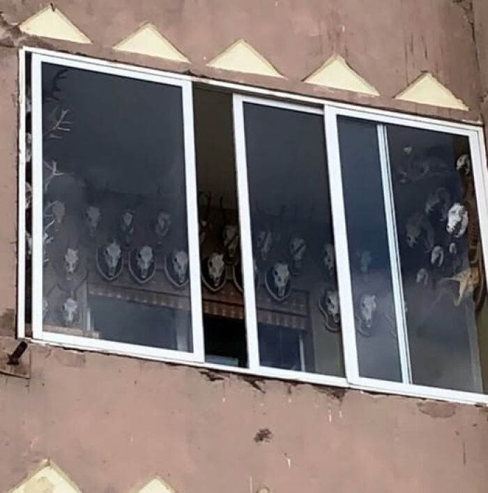 Window of a wild real estate property showing animal skulls displayed inside, adding a unique and eerie decoration.