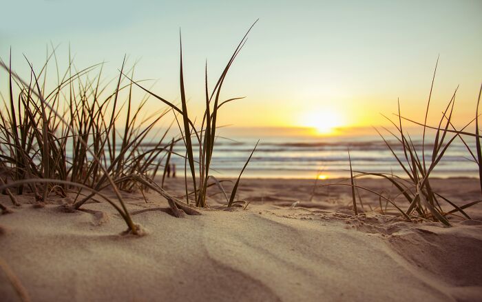 Beach sunrise with grassy sand dunes, ocean waves in the background, creating a serene and peaceful scene.