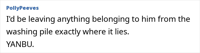 Comment discussing a husband's lack of help with toddlers, mentioning leaving his laundry undone.
