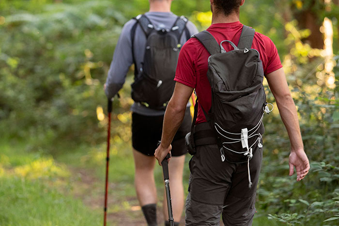 Two men hiking in the forest, carrying backpacks and walking sticks, enjoying outdoor activities.