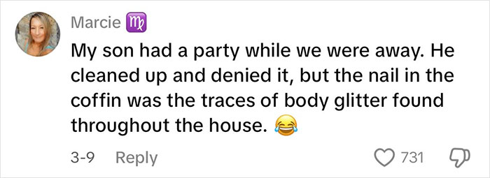 Comment about discovering glitter traces after a son's party, related to the concept of "glitter protection. Comment about discovering glitter traces after a son's party, related to the concept of "glitter protection.